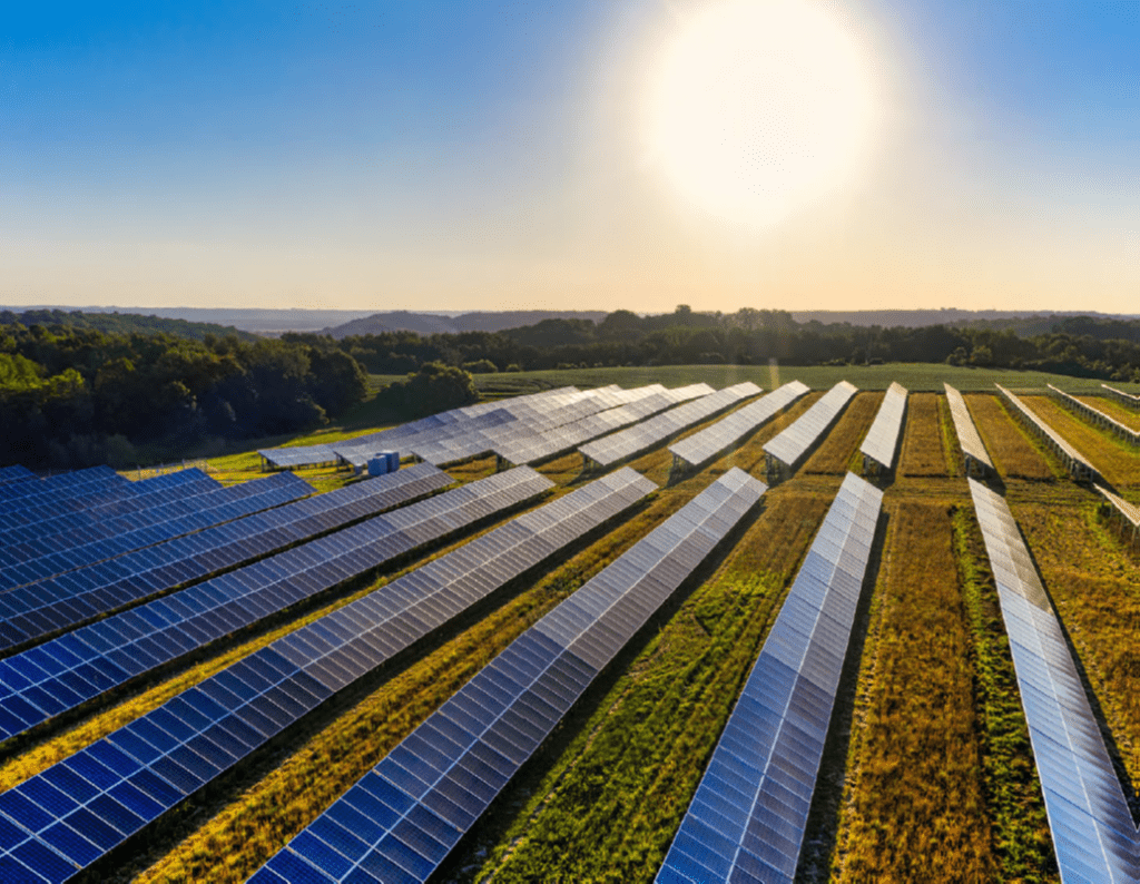 Renewable Power: Clean energy, complex claims - Integra